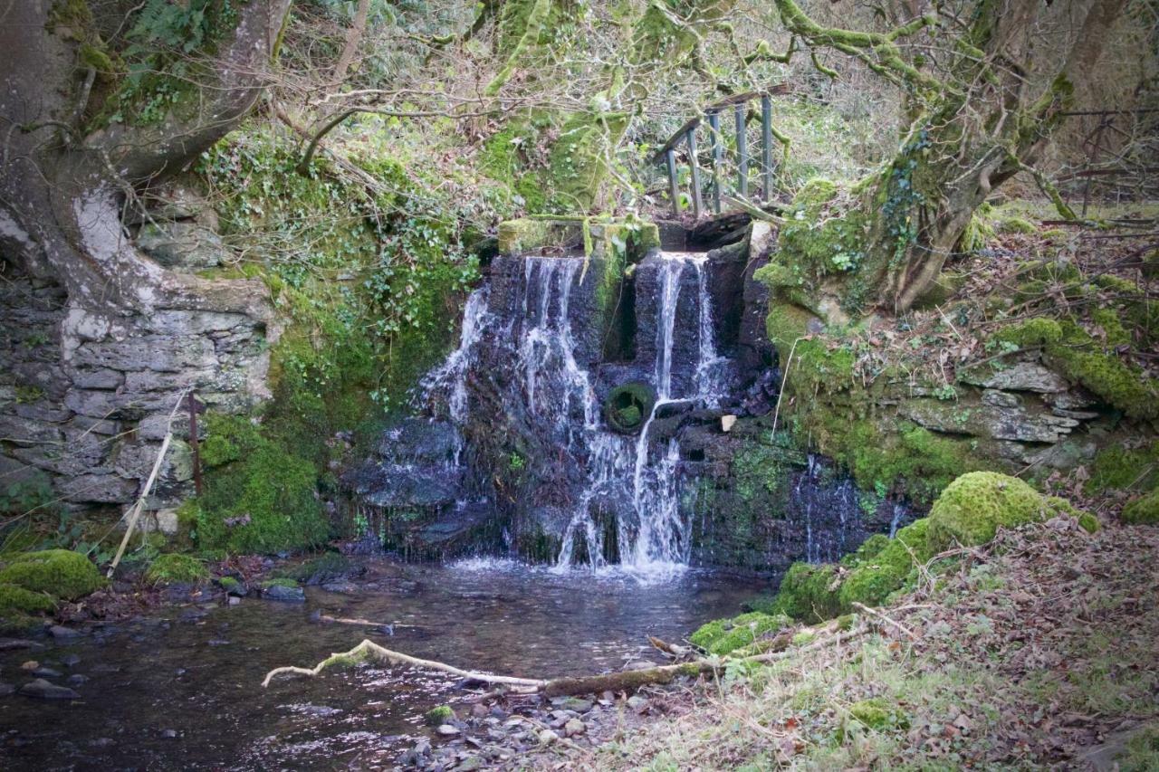 Waterfall Cottage Launceston Zewnętrze zdjęcie